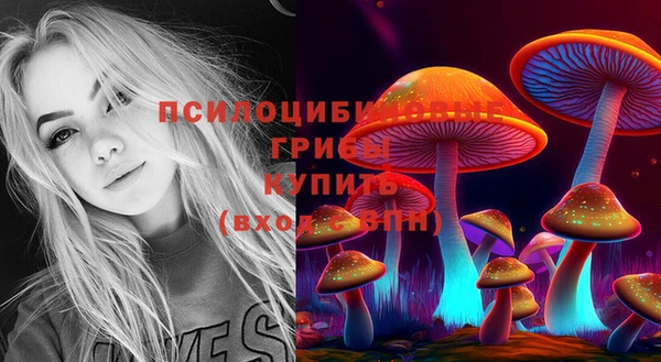спайс Заводоуковск