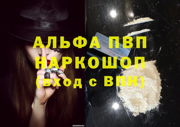 PSILOCYBIN Заволжье