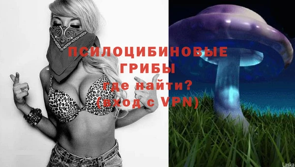 PSILOCYBIN Заволжье