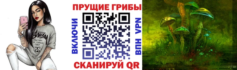 Галлюциногенные грибы Magic Shrooms  Купить  Змеиногорск 